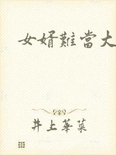 女婿难当大结局