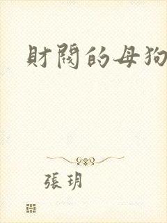 财阀的母狗们