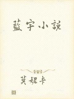 蓝宇小说