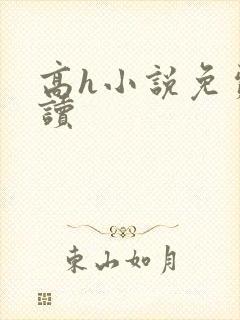 高h小说免费阅读