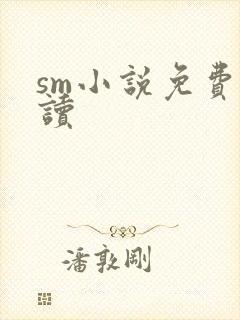 sm小说免费阅读