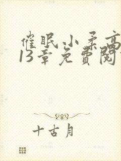 催眠小柔高达第13章免费阅读