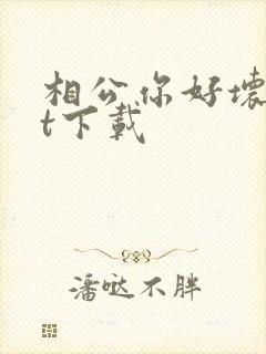 相公你好坏txt下载