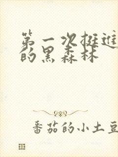 第一次挺进麻麻的黑森林