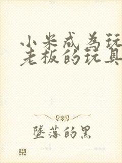 小米成为玩具店老板的玩具