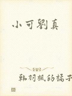 小可刘真