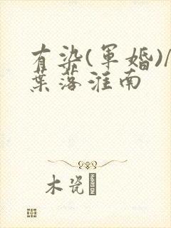 有染(军婚)/叶落淮南