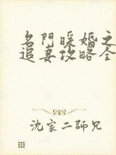 名门暖婚之权爷追妻攻略全文免费阅读