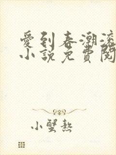 爱到春潮滚滚来小说免费阅读