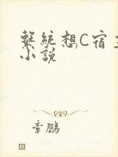 系统想C宿主的小说