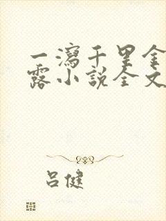 一泻千里金银花露小说全文免费阅读