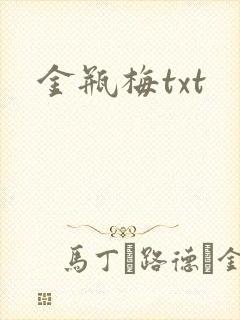金瓶梅txt