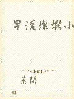 星汉灿烂小说