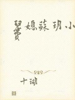 儿媳苏玥小说免费