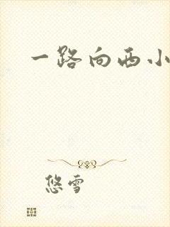 一路向西小说