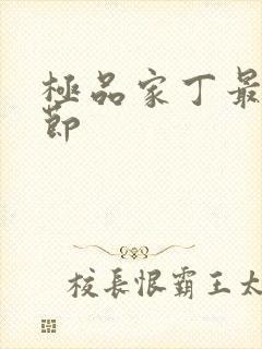 极品家丁最新章节