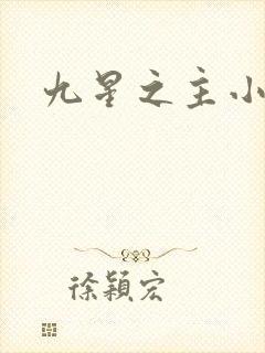 九星之主小说