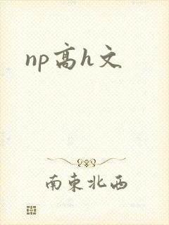 np高h文
