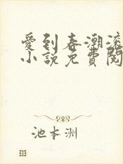 爱到春潮滚滚来小说免费阅读