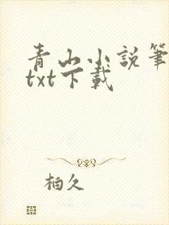 青山小说笔趣阁txt下载
