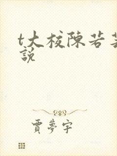 t大校陈若芸小说