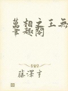 万相之王无弹窗笔趣阁