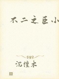 不二之臣小说