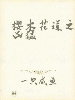 樱木花道之重生凶猛