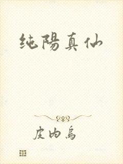 纯阳真仙