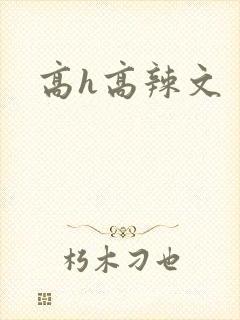高h高辣文