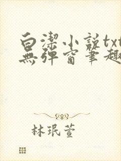 白洁小说txt无弹窗笔趣阁