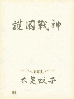 护国战神