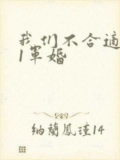 我们不合适1v1军婚