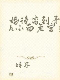 婚后脔到青梅哭h小白兔宫交h