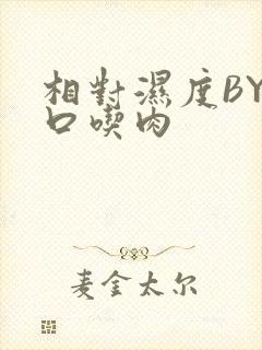 相对湿度BY大口吃肉