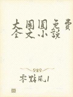 大团圆免费阅读全文小说