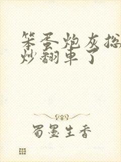 笨蛋炮灰总被爆炒翻车了