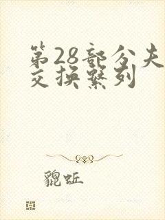 第28部分夫妇交换系列