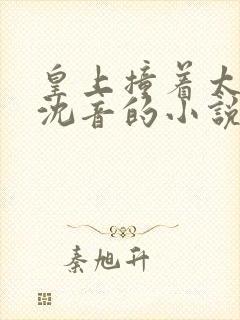 皇上撞着太子妃沈音的小说叫什么