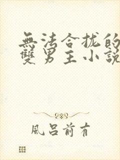 无法合拢的总裁双男主小说