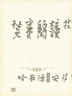 秘密的校花小说免费阅读