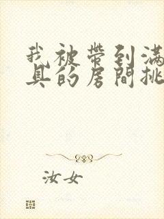 我被带到满是玩具的房间挑调作文