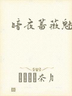 暗夜蔷薇魅