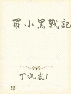 罗小黑战记小说