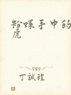 粉蝶手中的纸老虎