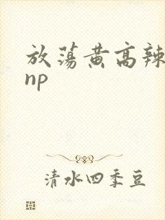 放荡黄高辣h文np