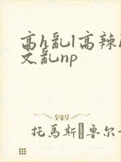 高h乱l高辣h文乱np