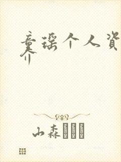 童瑶个人资料简介