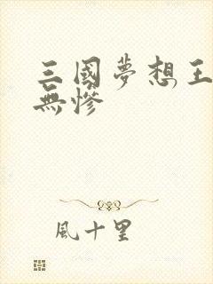 三国梦想王元姬无惨