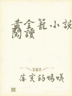 黄金笼小说免费阅读